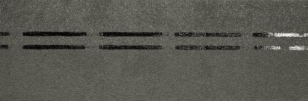 Коньково-карнизная черепица Docke Premium, авокадо купить в Полярных Зорях