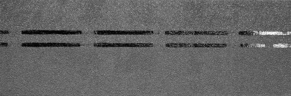 Коньково-карнизная черепица Docke Premium, черника купить в Полярных Зорях