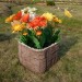 Цветник КАНЬОН купить в Полярных Зорях